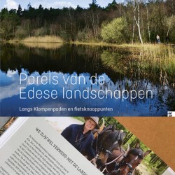 Afbeelding invoegen
